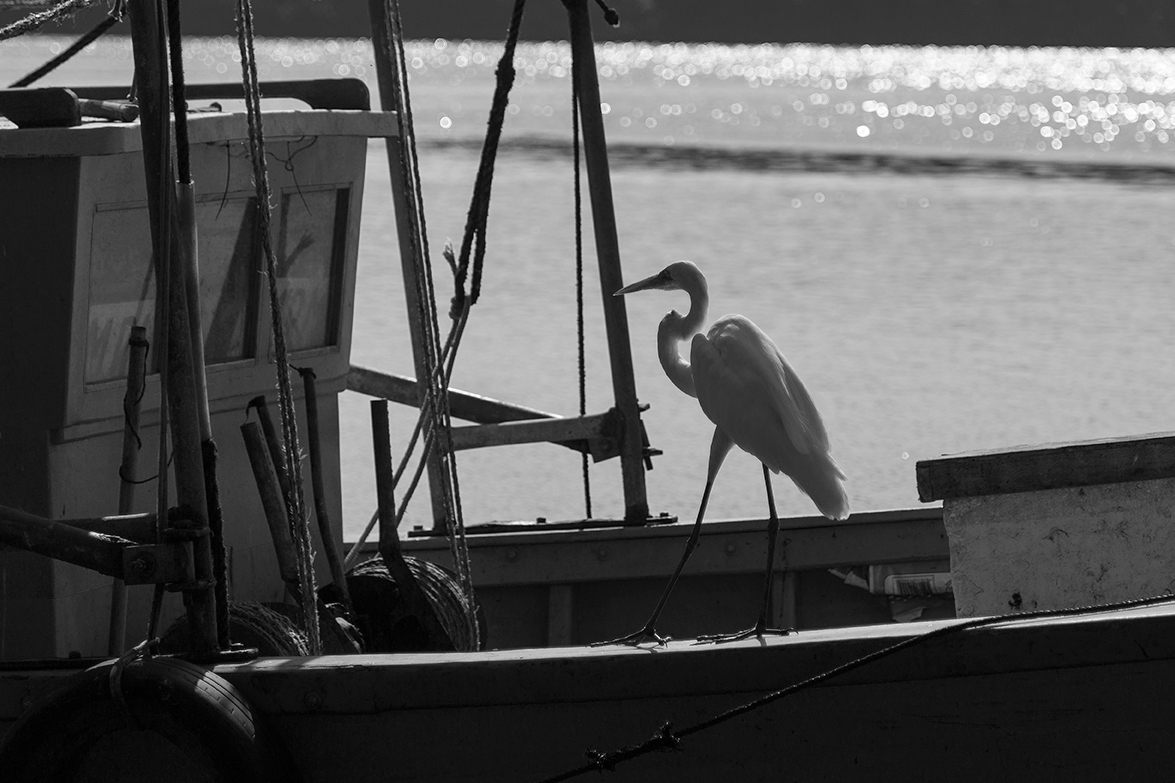 Salvador Bahia - Brazil