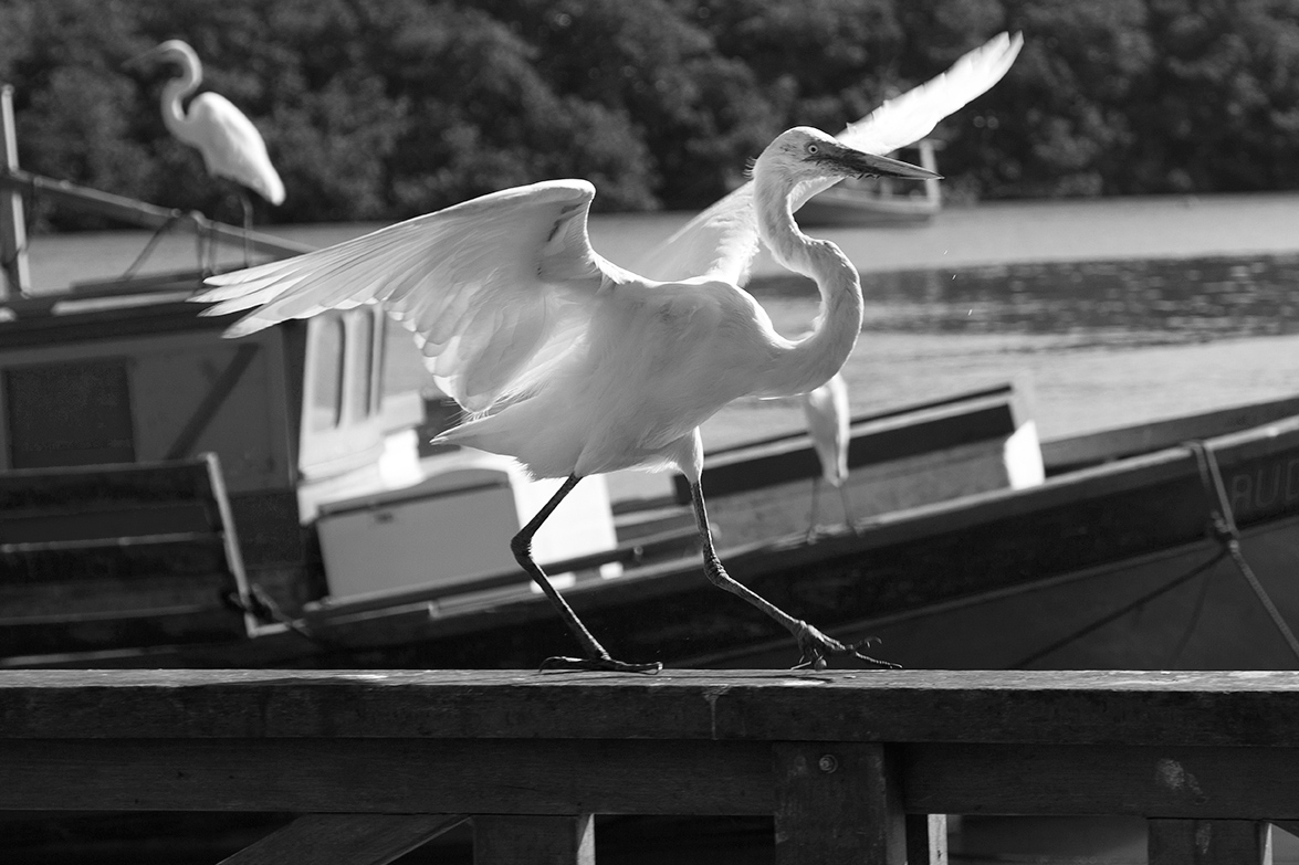 Salvador Bahia - Brazil