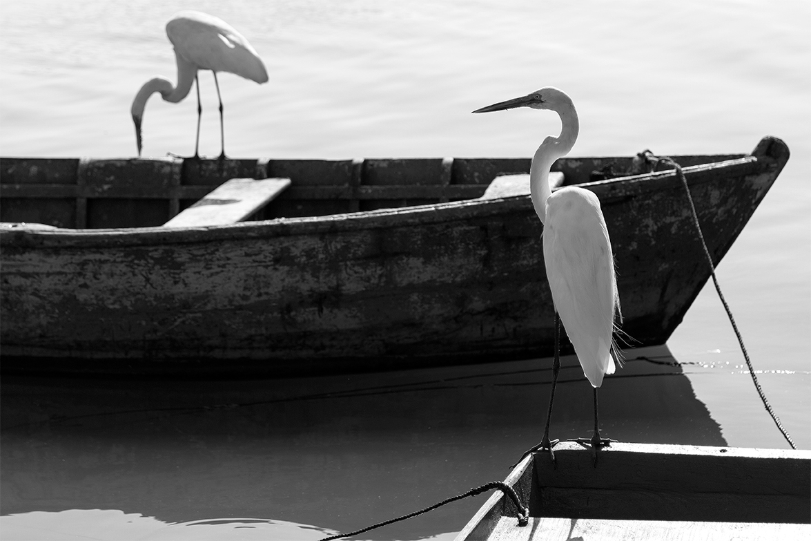 Salvador Bahia - Brazil