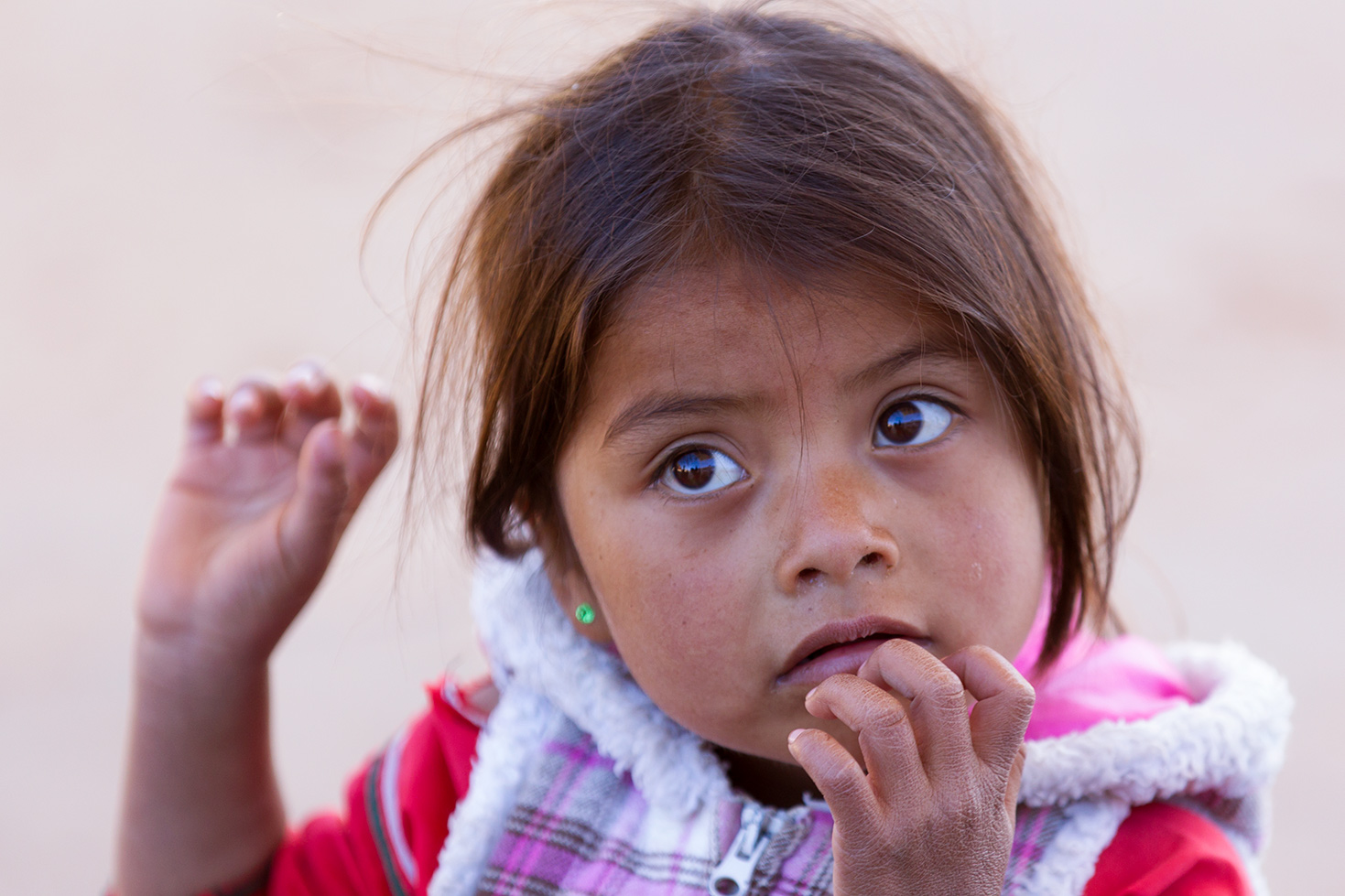 Festival Colores de la Sierra
