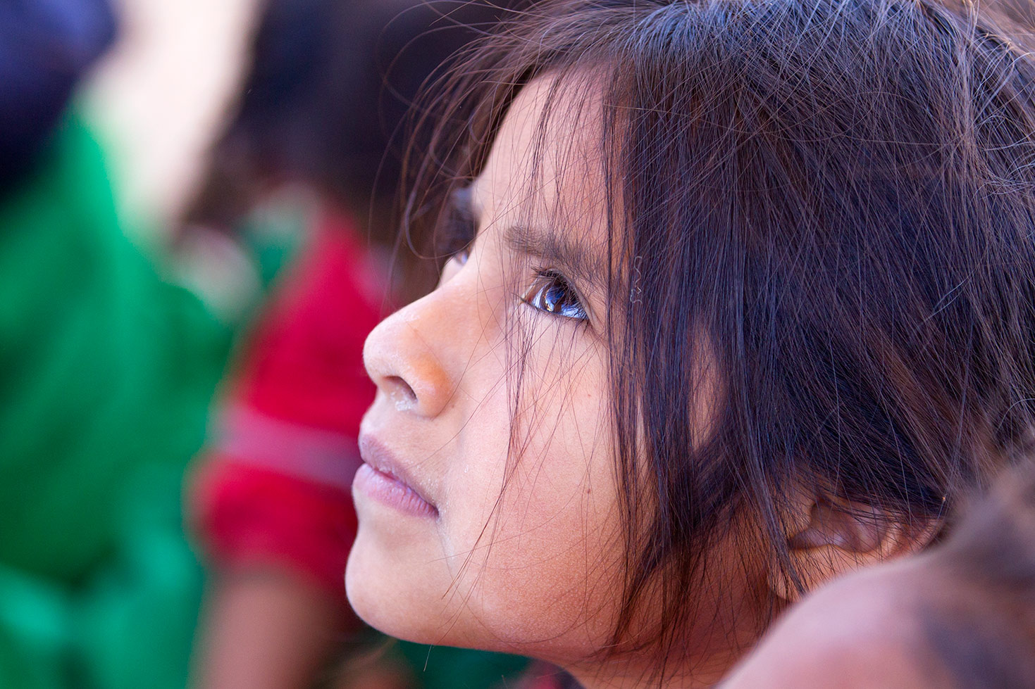 Festival Colores de la Sierra