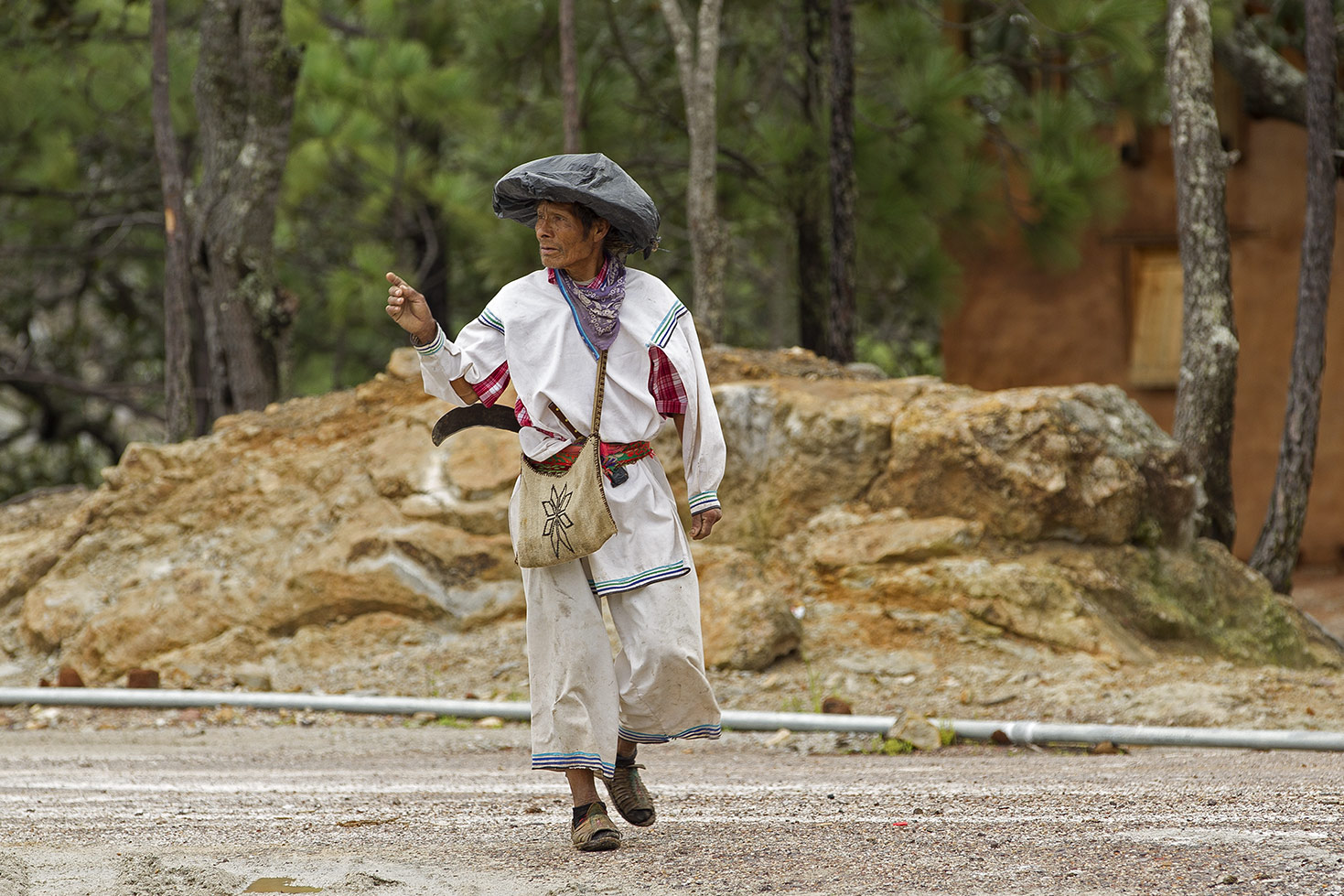 Los Wixa - Jalisco - México