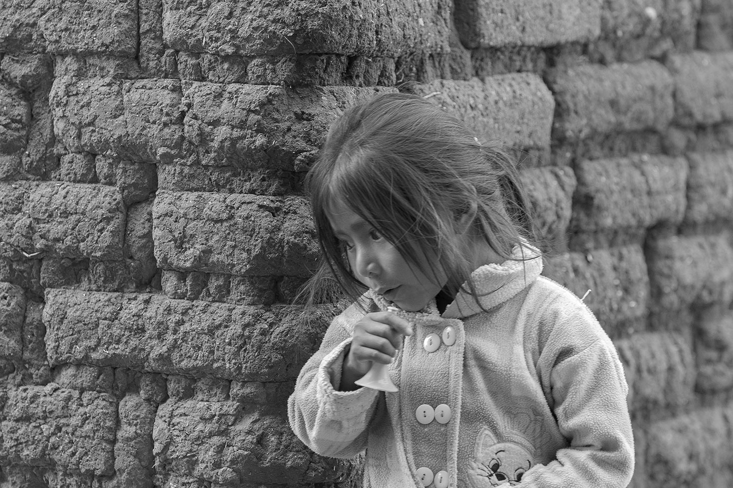 Los Wixa - Jalisco - México