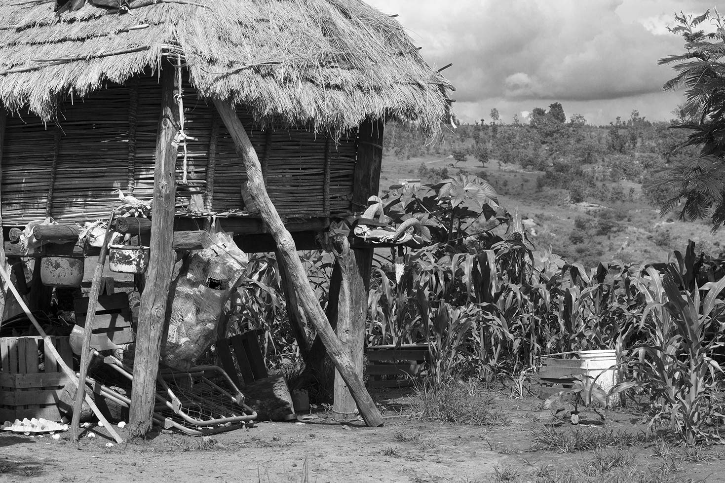 Los Wixa - Jalisco - México