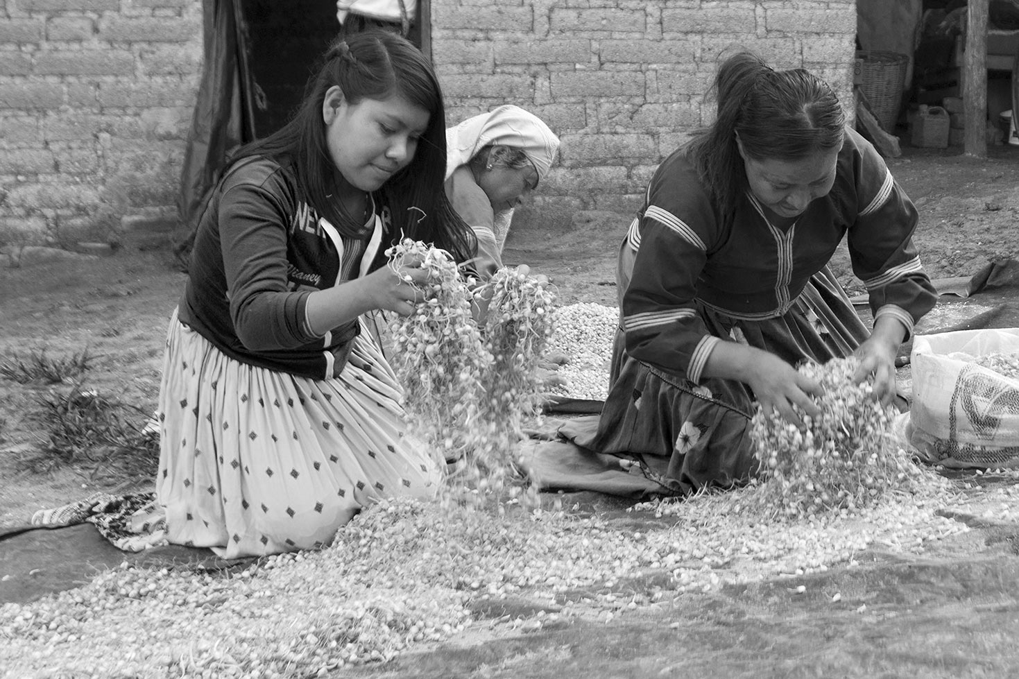 Los Wixa - Jalisco - México