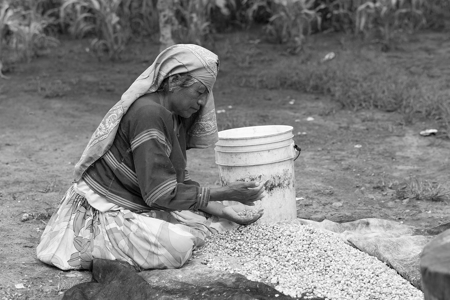 Los Wixa - Jalisco - México