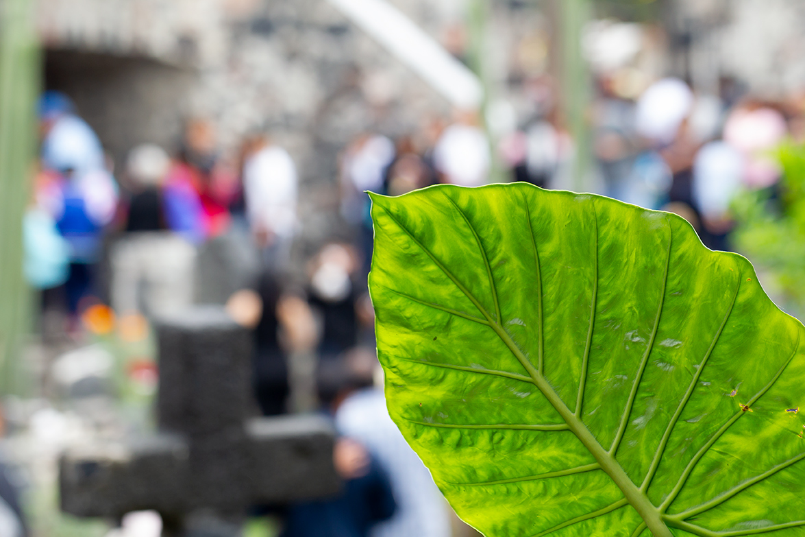 Dia de muertos, Misquic, México