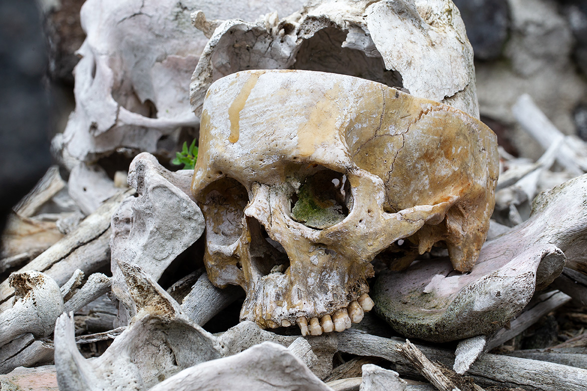 Dia de muertos, Misquic, México