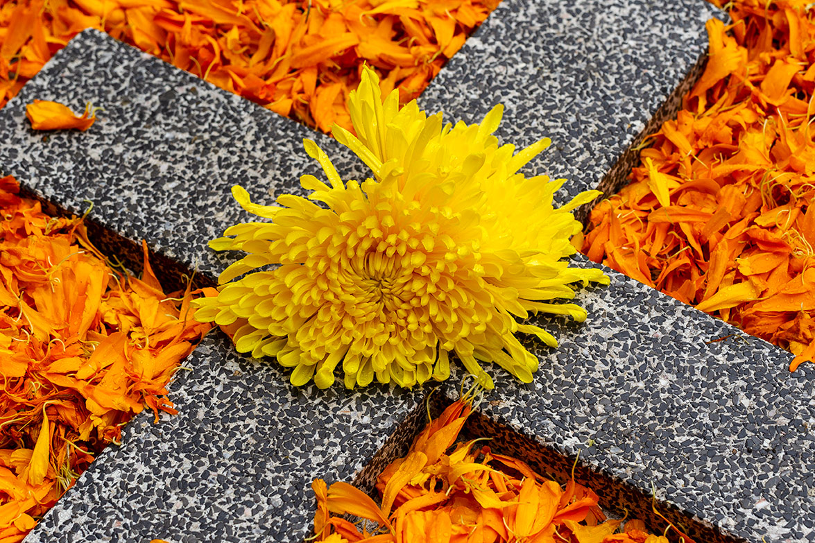 Dia de muertos, Misquic, México