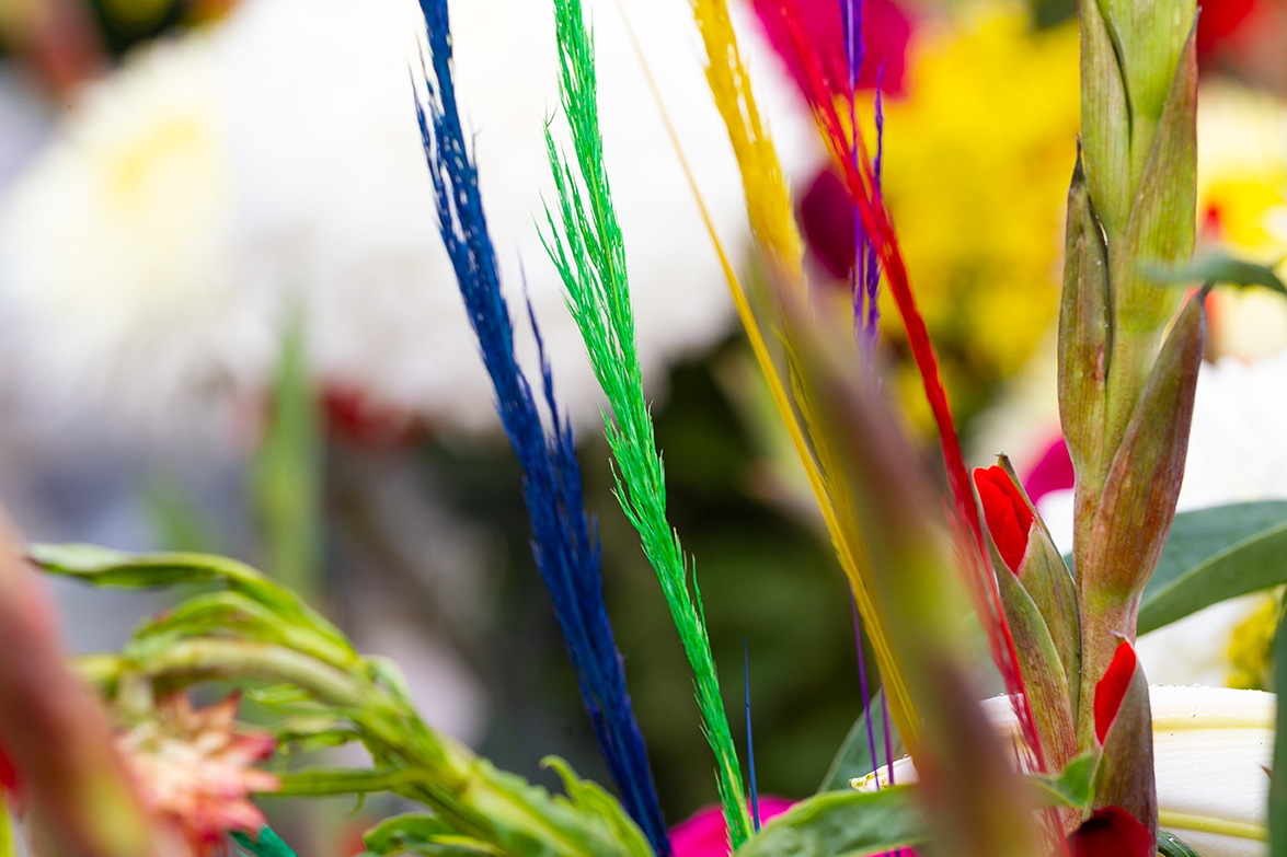 Dia de muertos, Misquic, México