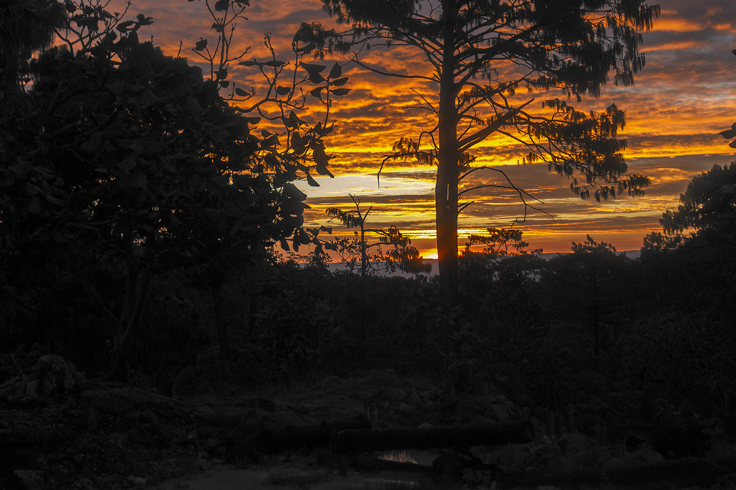 Los Wixa - Jalisco - México