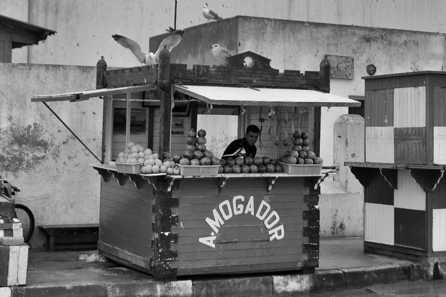 Essaouira porto - Morocco