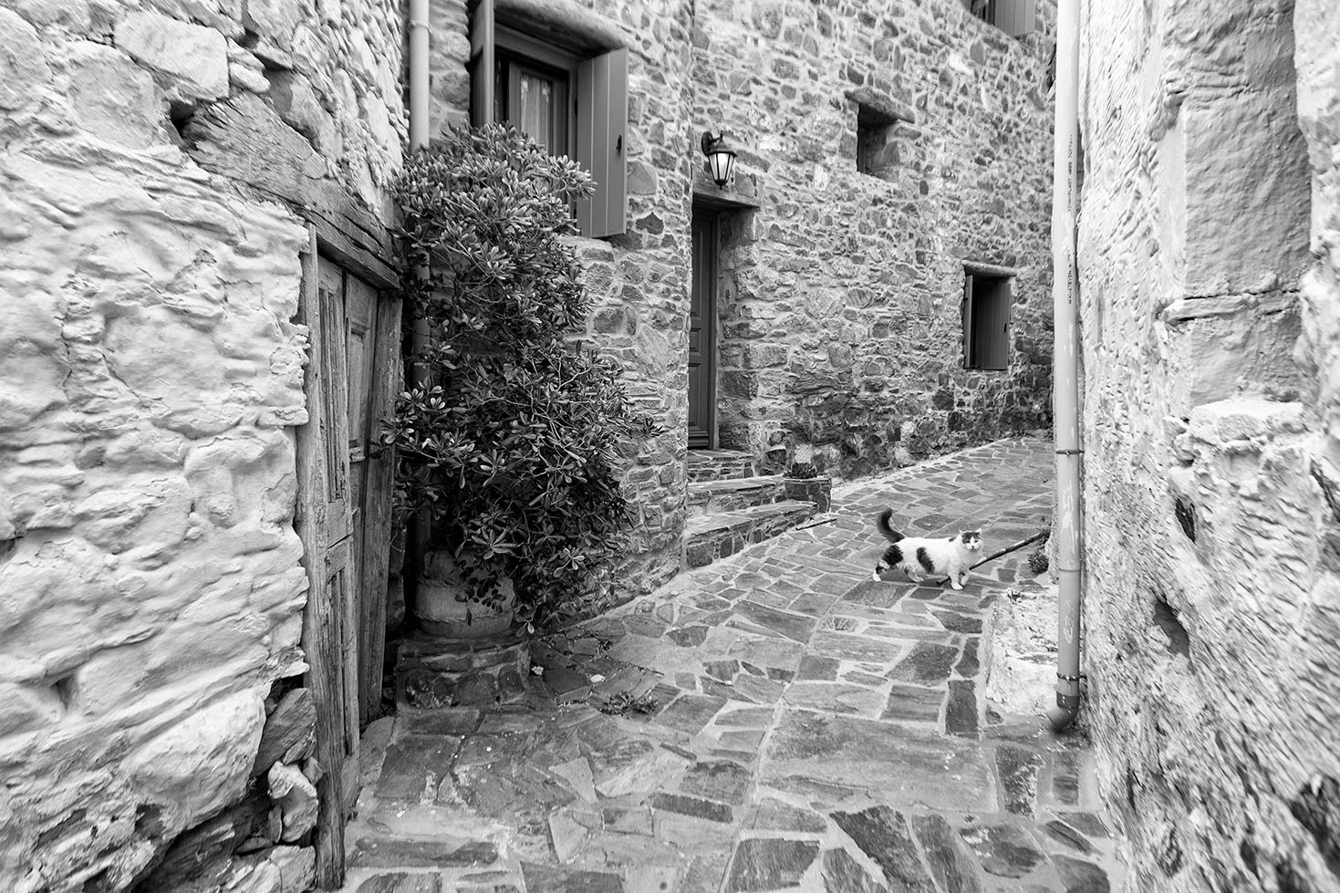 Volissos, Chios - Grecia