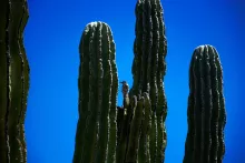 Baja California - México